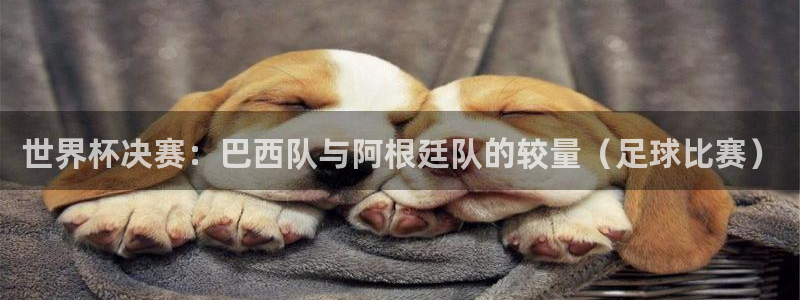 世界杯比赛时间：世界杯决赛：巴西队与阿根廷队的较量（足球比赛）