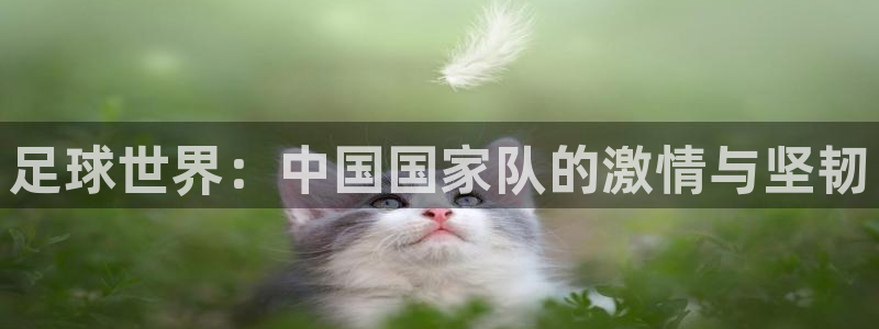 世界杯直播平台：足球世界：中国国家队的激情与坚韧