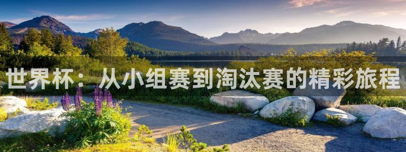 世界杯预选赛亚洲区赛程：世界杯：从小组赛到淘汰赛的精彩旅程