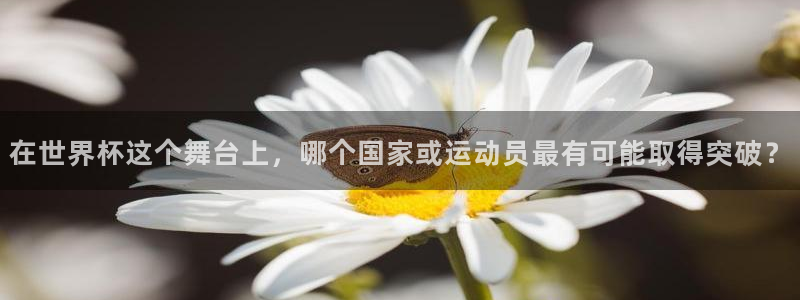 世界杯今年：在世界杯这个舞台上，哪个国家或运动员最有可能取得突破？