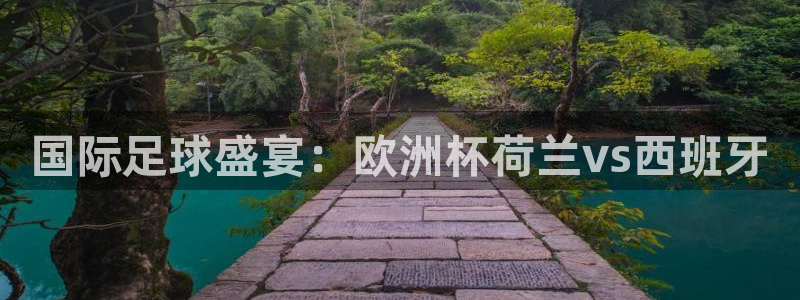 2026世界杯：国际足球盛宴：欧洲杯荷兰vs西班牙