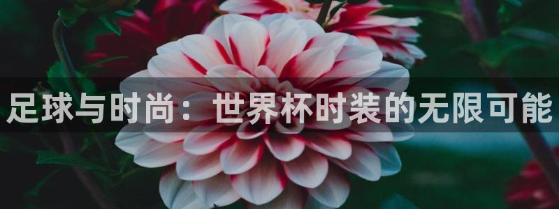 世界杯赛程2026：足球与时尚：世界杯时装的无限可能