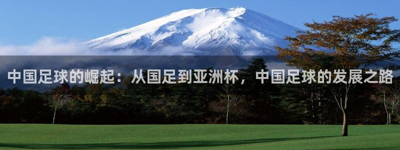 2026世界杯官网入口：中国足球的崛起：从国足到亚洲杯，中国足球的发展之路