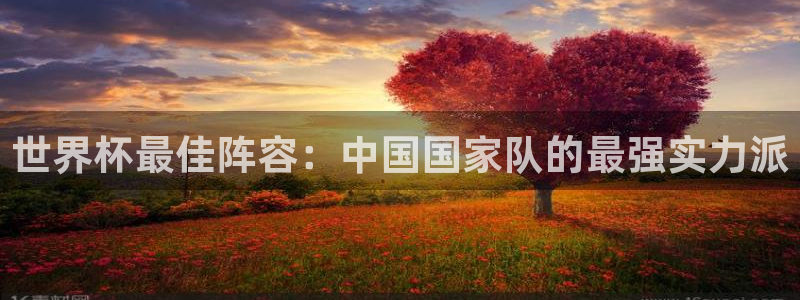 世界杯官网入口：世界杯最佳阵容：中国国家队的最强实力派