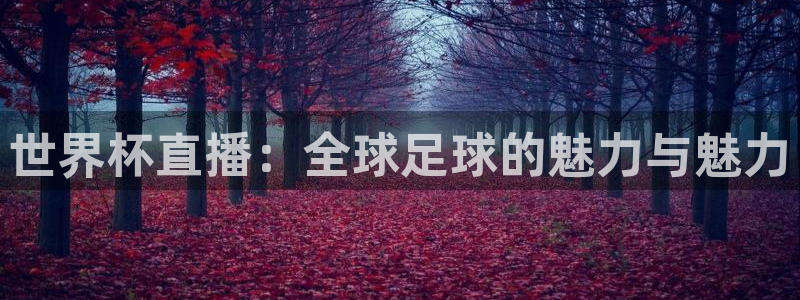 2026世界杯官网入口：世界杯直播：全球足球的魅力与魅力