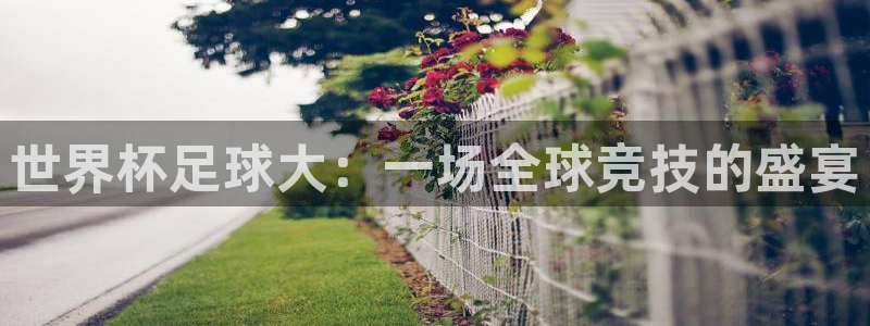 世界杯预选赛规则：世界杯足球大：一场全球竞技的盛宴
